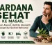 Mardana Sehat Ke Masail